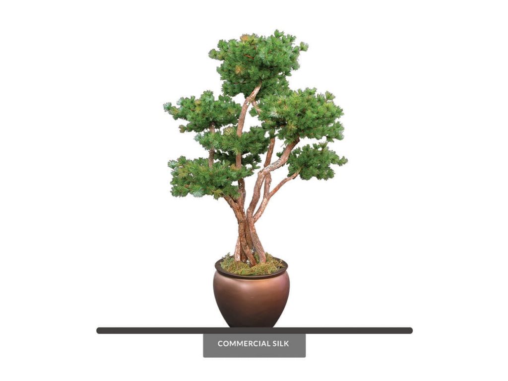 Artificial Rocky Mountain Pine Bonsai Tree