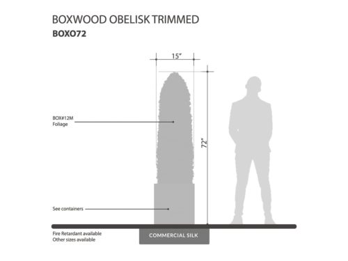 Boxwood Topiary Obelisk ID# BOXO72