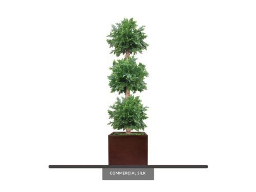  Cedar Triple Topiary ID# CED3B96+