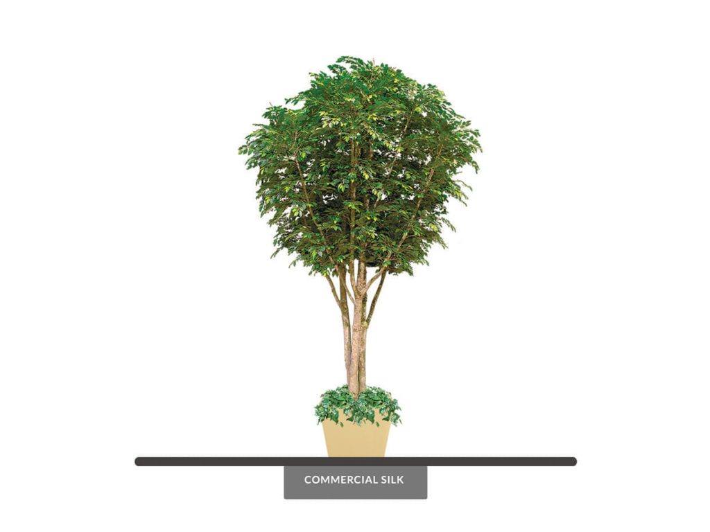 Artificial Ficus Benjamina Tree (Indoor/Outdoor)