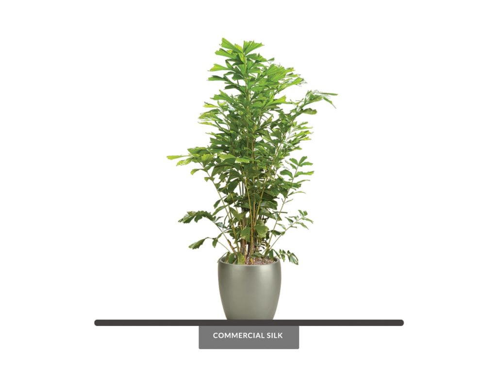 Artificial Fishtail Palm Tree