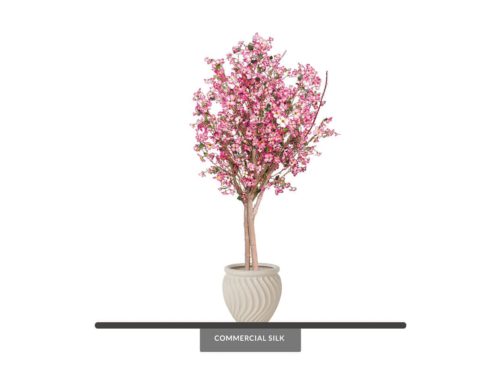 Cherry Blossom Tree ID# DCBM72