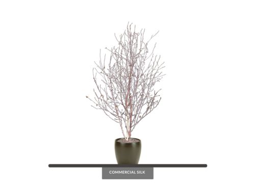 Winter Birch Tree ID# PBWM84