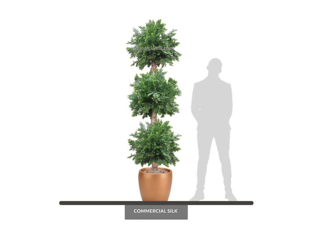 Cedar Ball Topiary ID# CED1B36