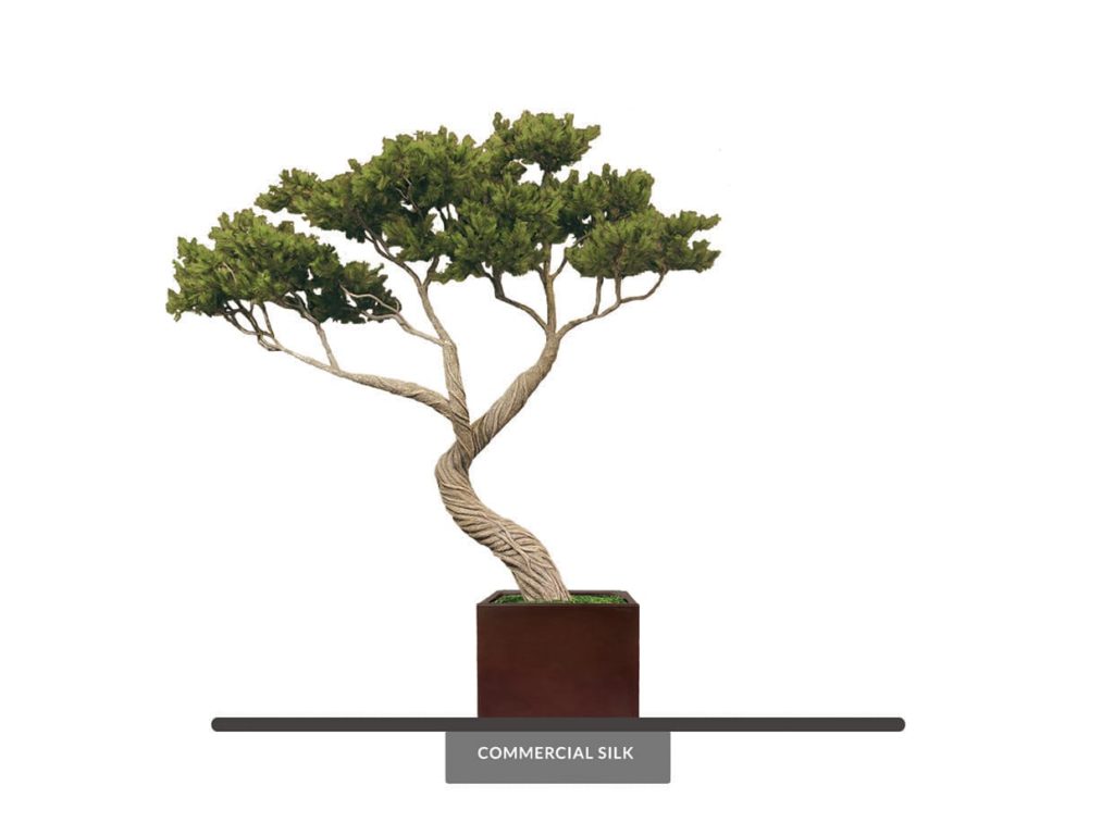 Artificial Monterey Pine Tree Bonsai