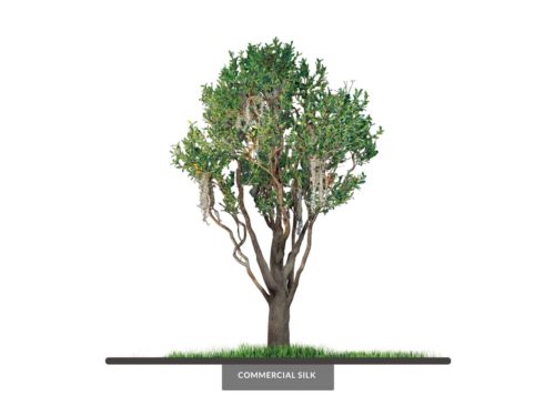 Live Oak Tree, Sculpted ID# OKLFX4G