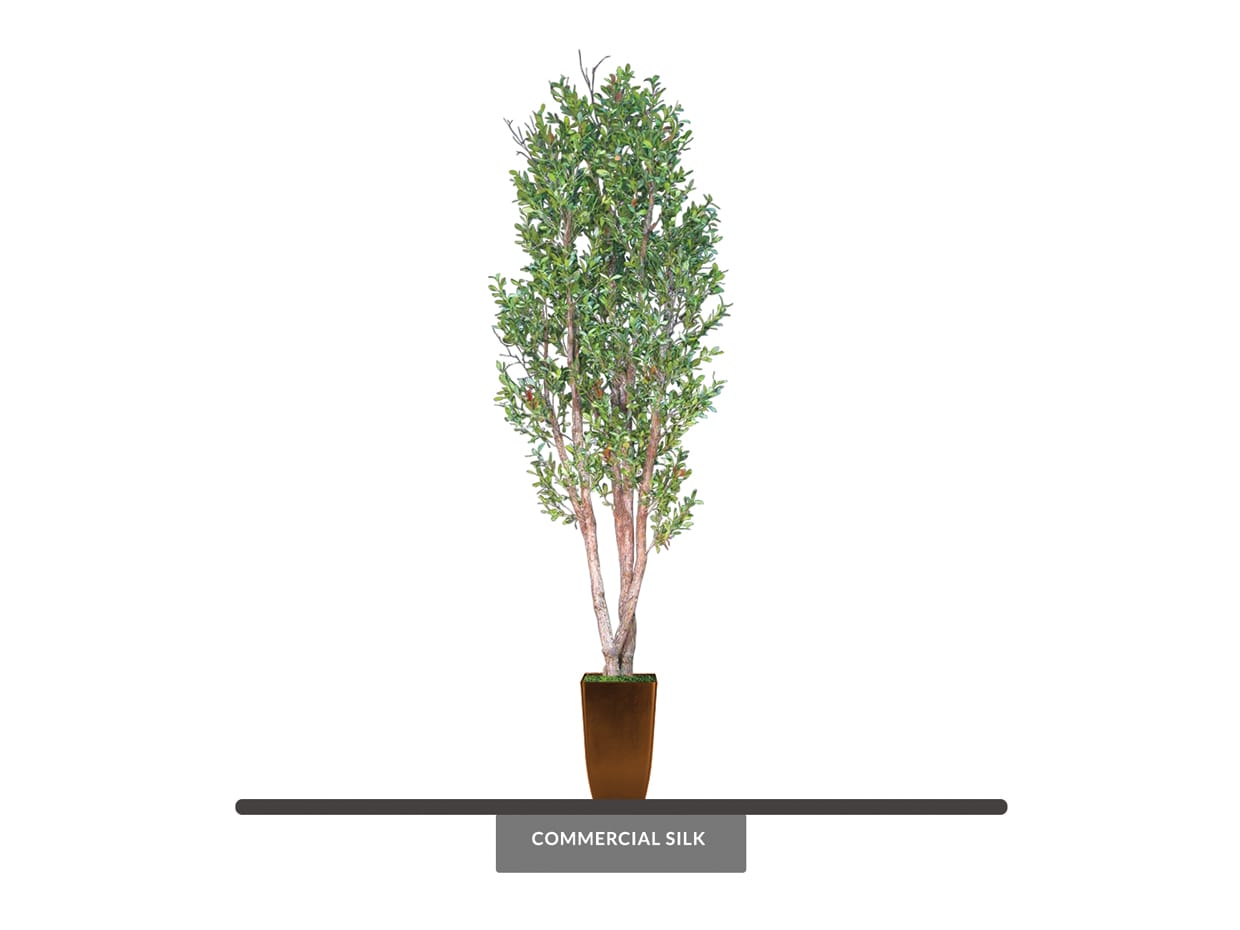 Columnar Live Oak Tree Artificial
