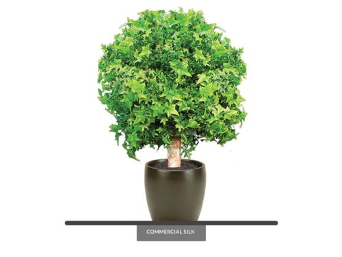 English Ivy Topiary Ball ID# IVEB42+, IVE2B72+