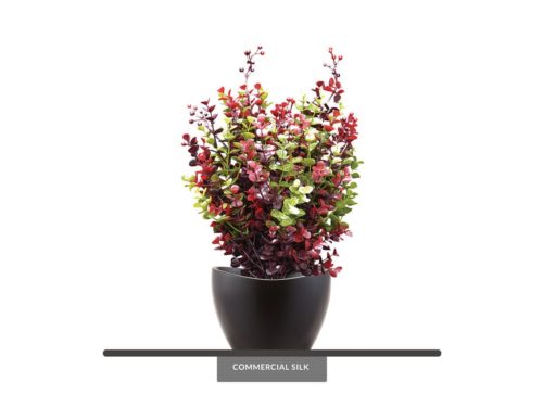 Eucalyptus Bush (burgundy/green) (exterior) ID# EUC118BG+