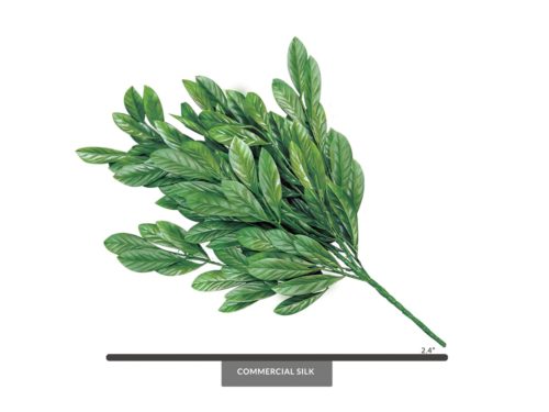 Laurel Leaf Bush ID# VIB+24