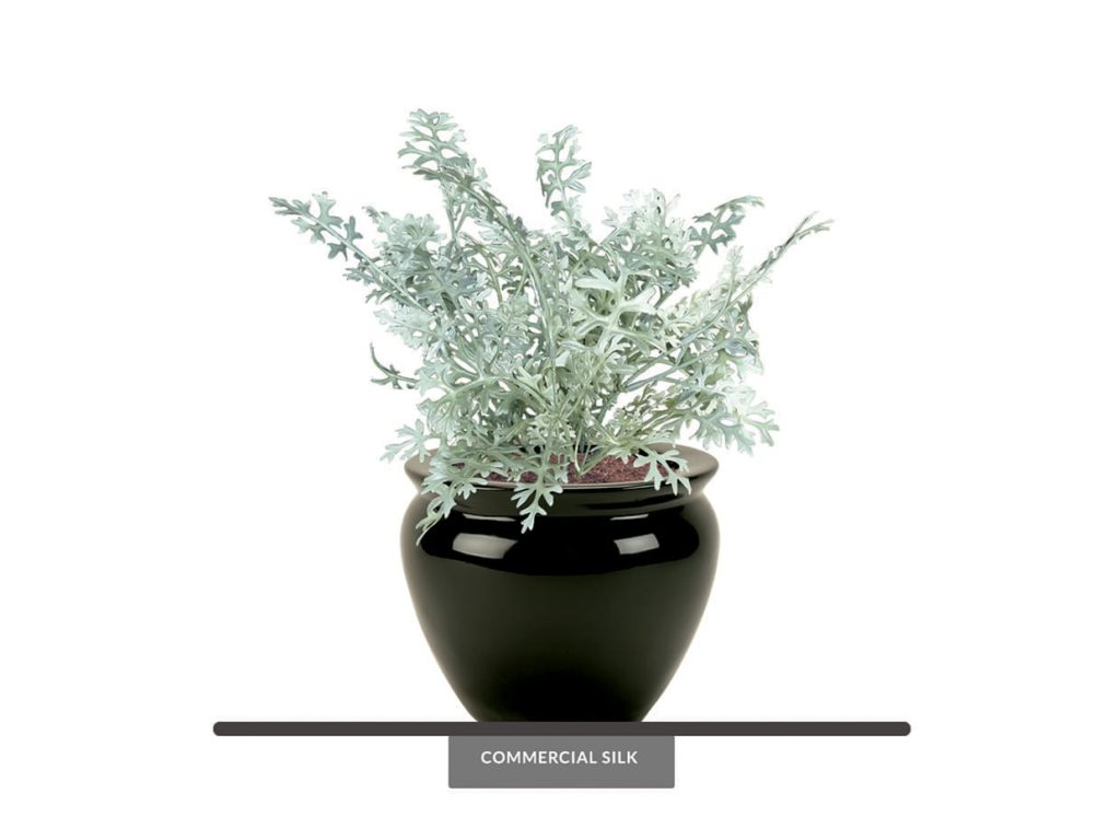 Artificial Dusty Miller Plant Outdoor