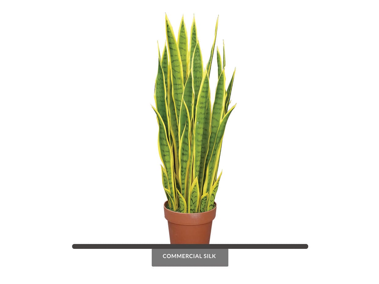 Artificial Sansevieria Snake Plant