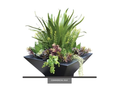 Succulent Arrangement ID# CUSTDIS2