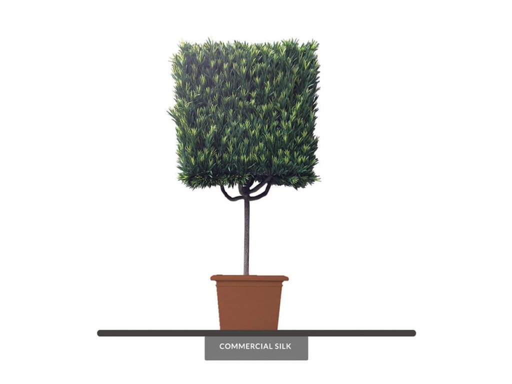 Artificial Podocarpus Topiary Square