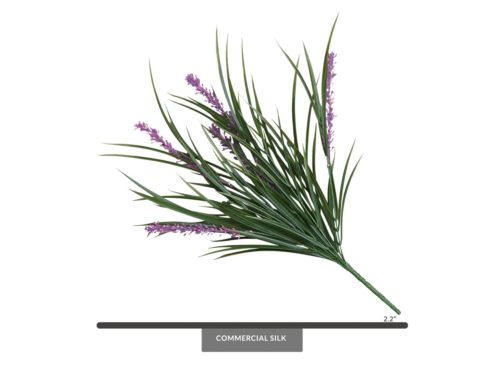 Liriope Grass Bush, Purple / Green ID# LRO+T22P
