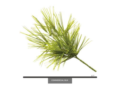 Wisp Grass Bush ID# GWP++21
