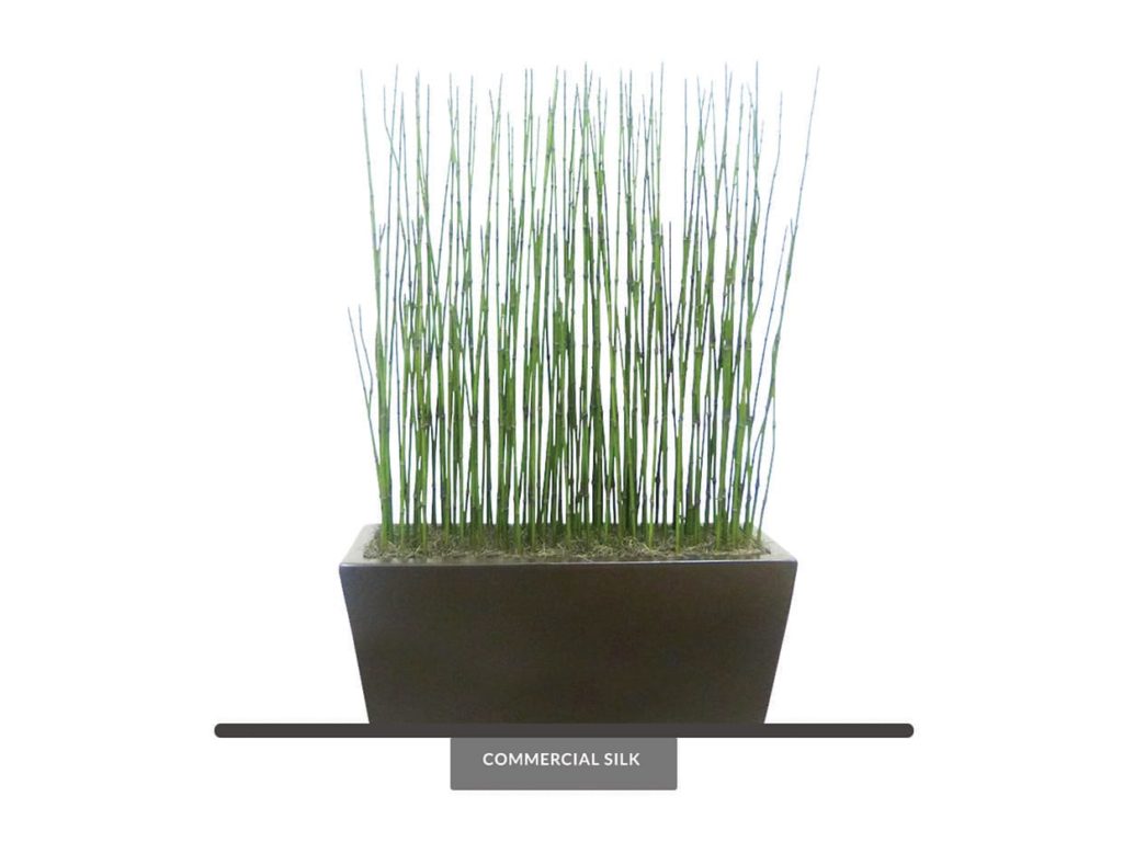Potted Artificial Horsetail Equisetum Puzzlegrass Plant