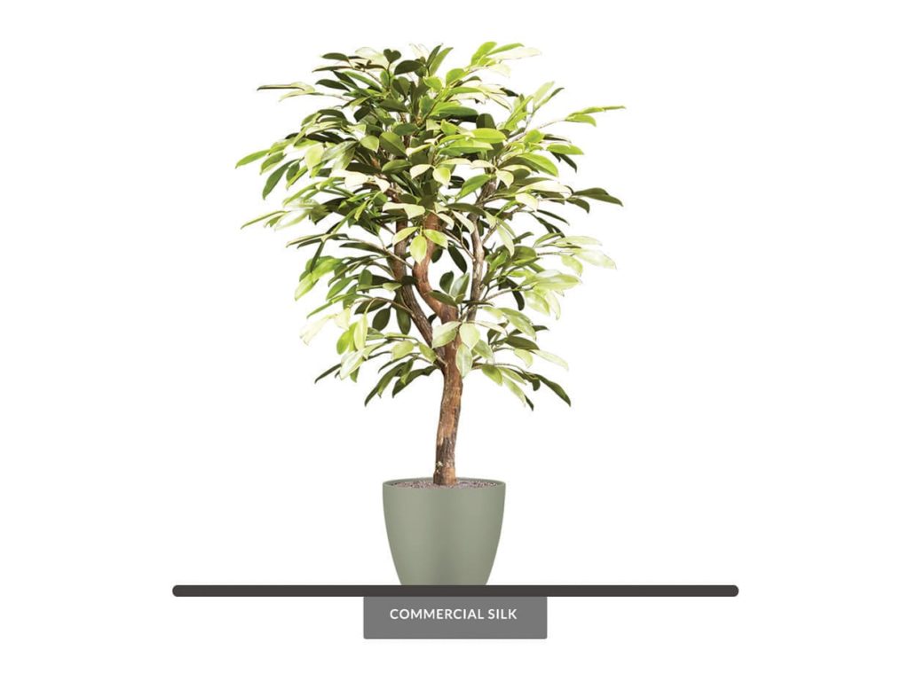 Artificial Bay Leaf Plant Outdoor