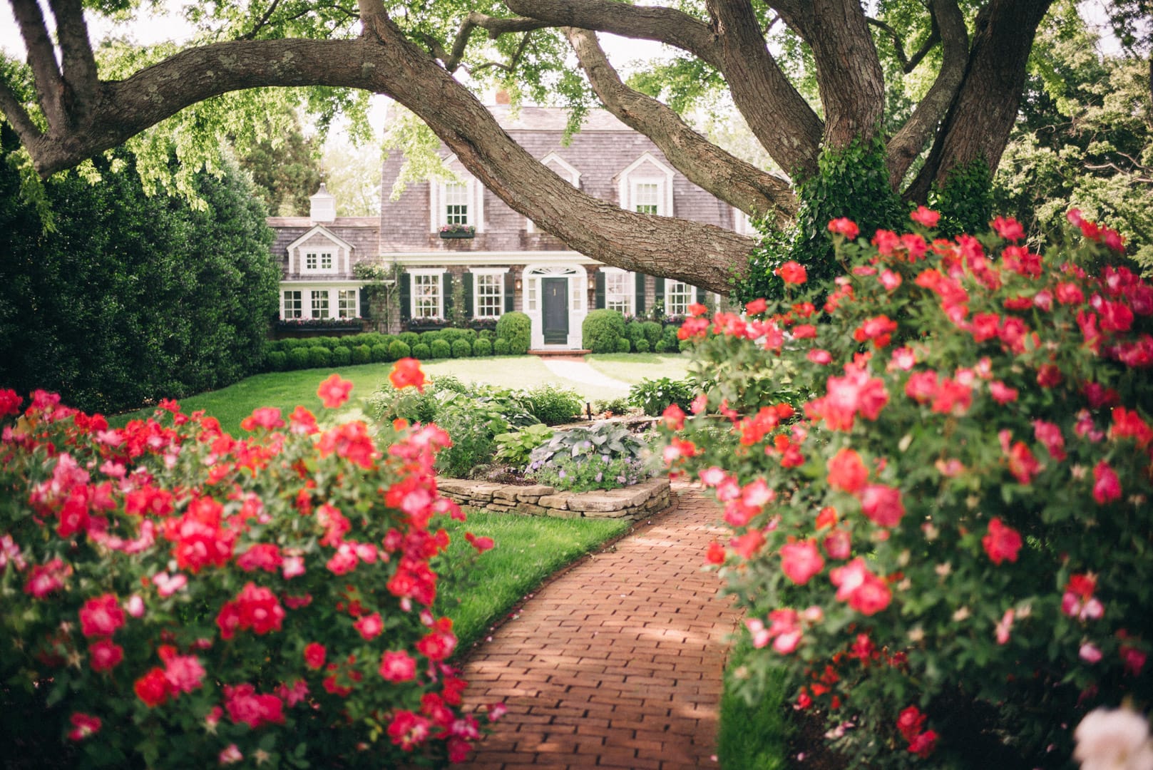 Magnolia Spray ID# MA#27