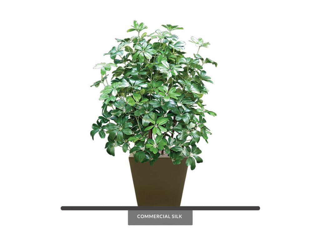 Artificial Arboricola Plant