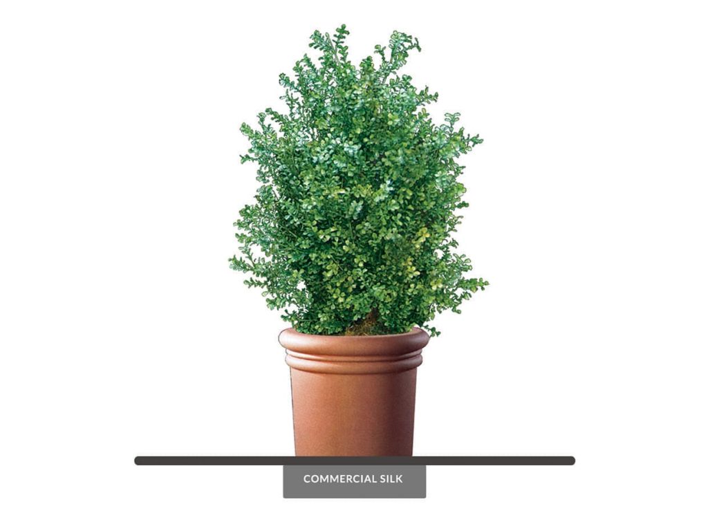 Fake Boxwood Bushes