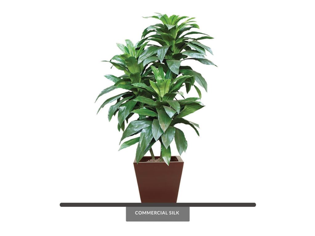 Artificial Janet Craig Plant