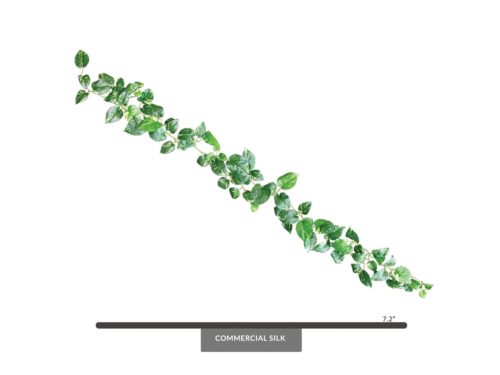 Pothos Garland ID# POG#72R