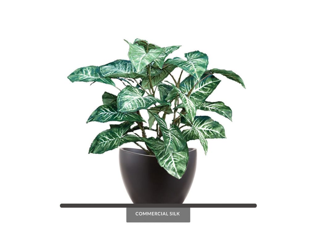 Artificial Arrowhead Vines Plant