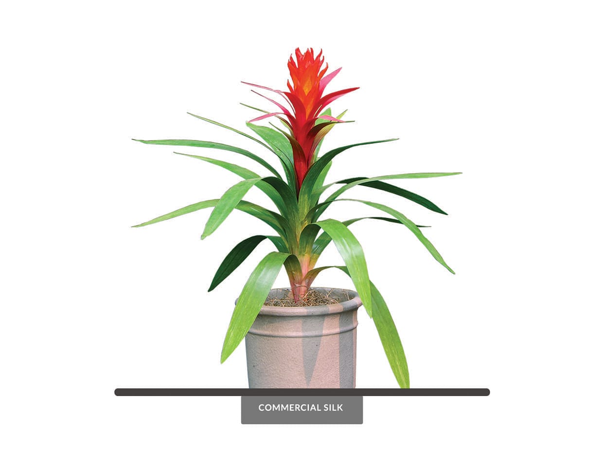 Artificial Cherry Bromeliad Plant