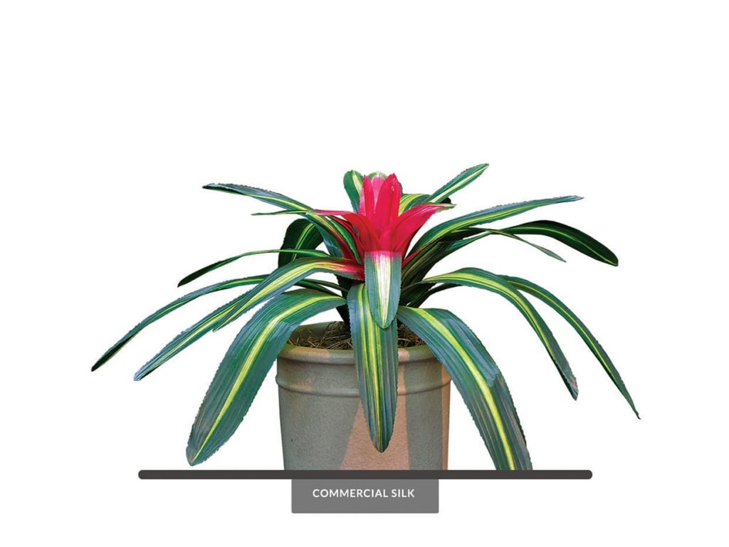Artificial Bromeliad Plant