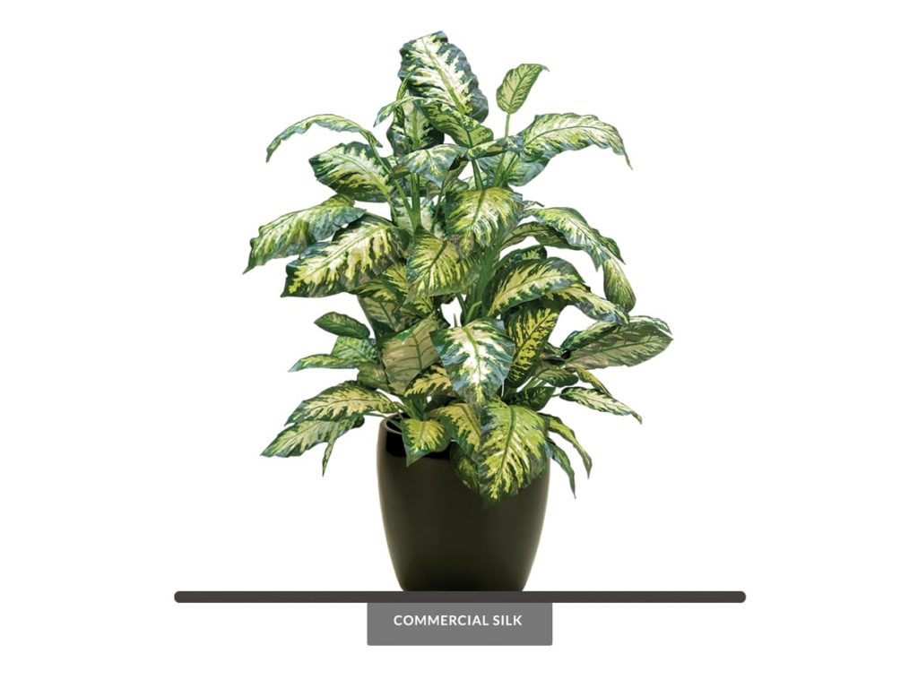 Fake Dieffenbachia Plant