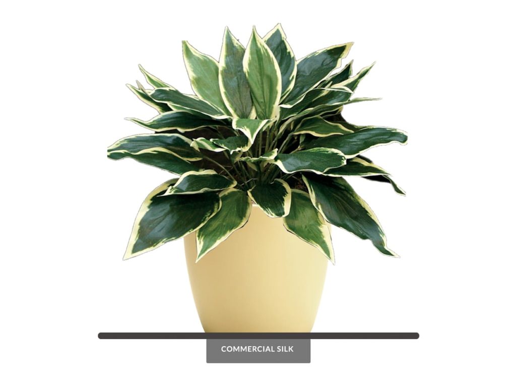 Artificial Hosta Plant
