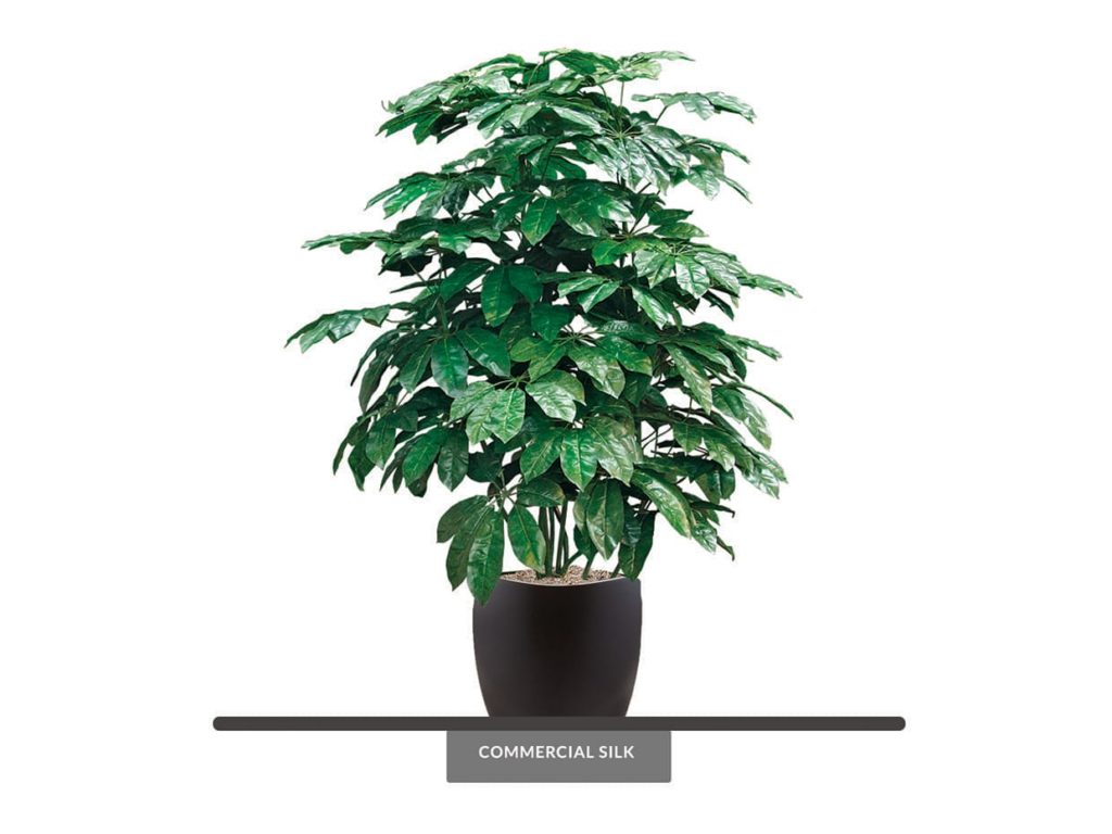 Artificial Schefflera Plant