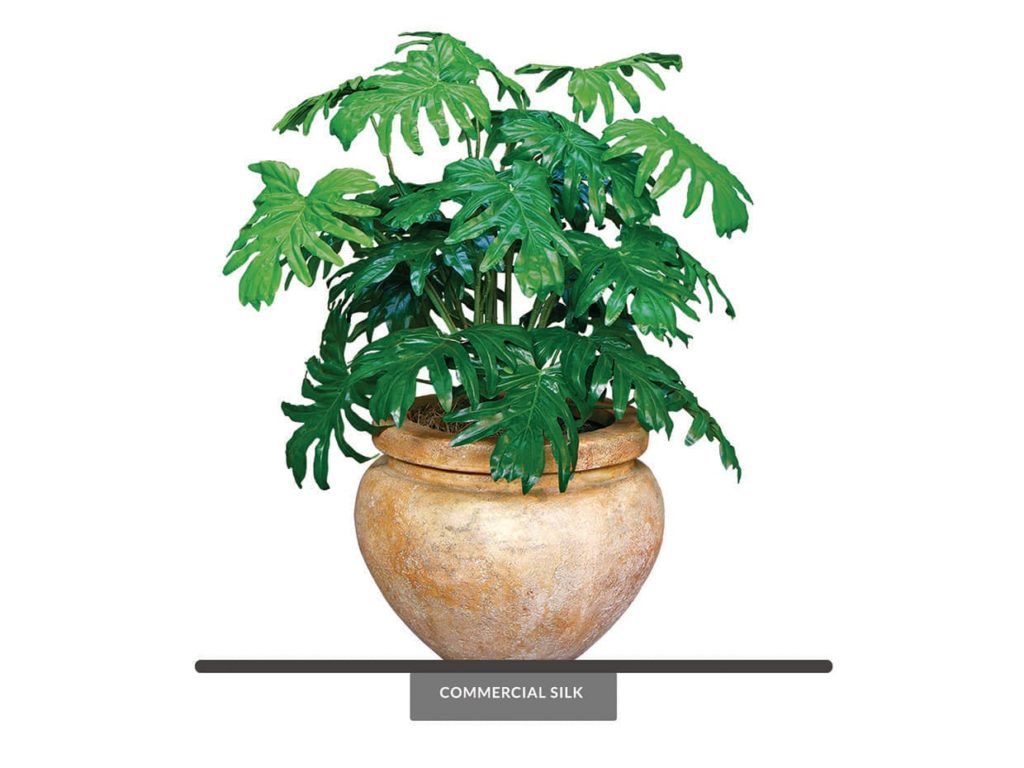 Artificial Selloum Plant Indoor