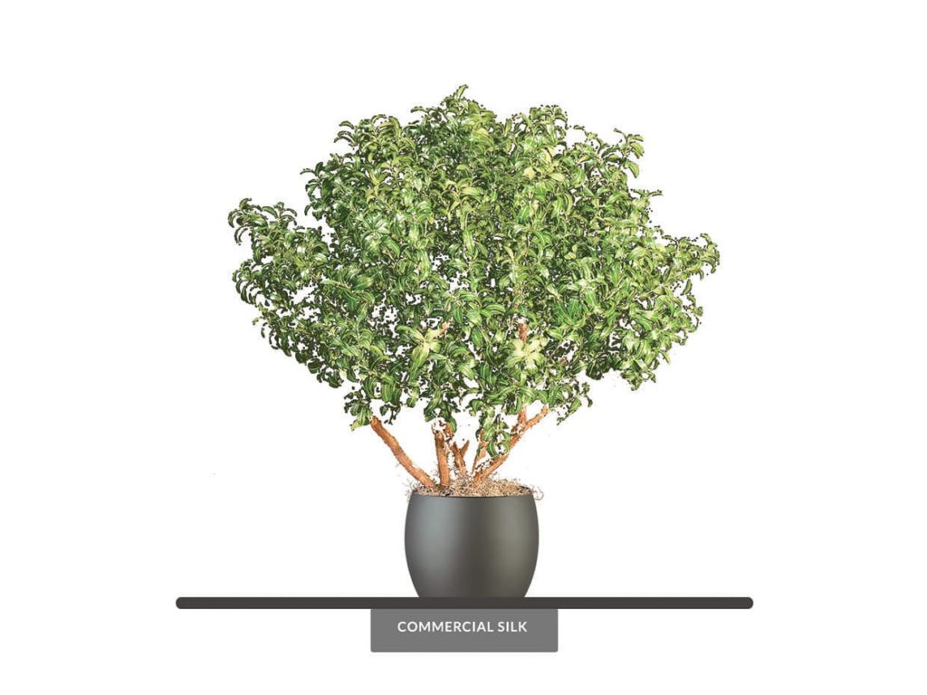 Artificial Mountain Laurel Plant Potted