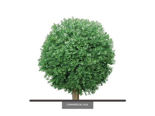 Outdoor Potted Topiary Balls ID# BOX1B28+
