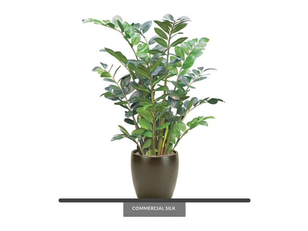 Artificial ZZ Plant