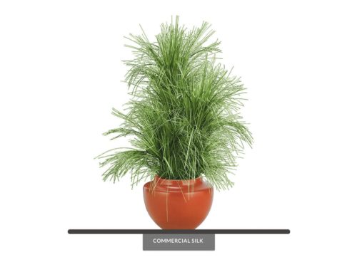 Tall Ornamental Prairie Grass ID# GPR360G