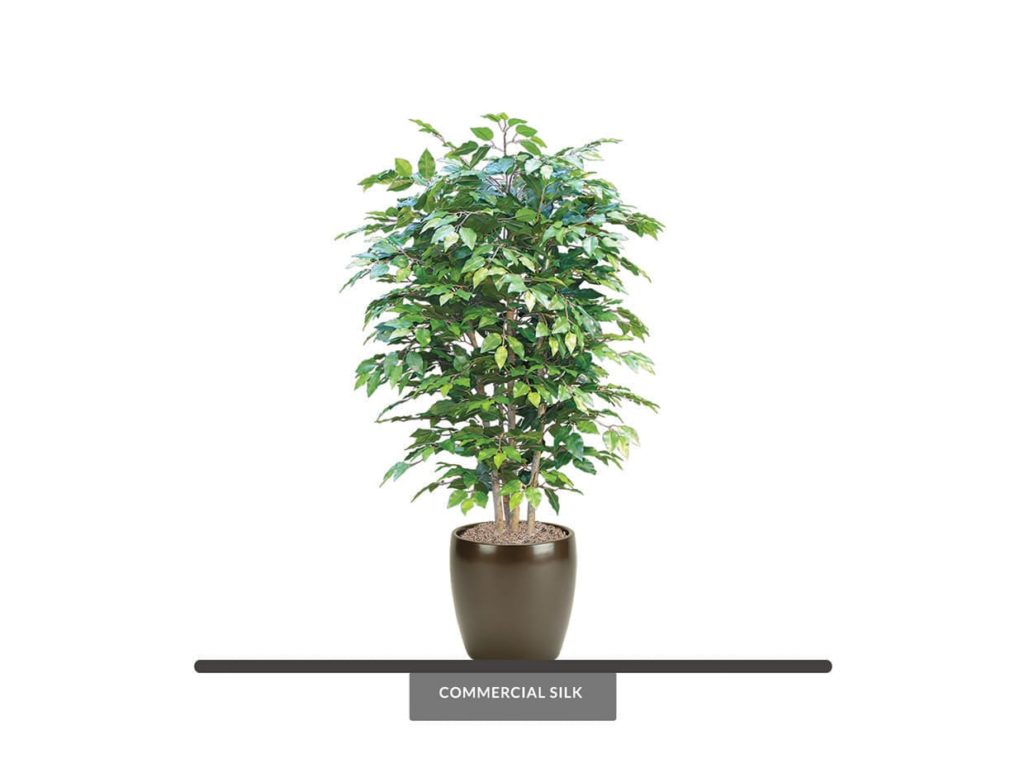 Artificial Ficus Benjamina Indoor Plant