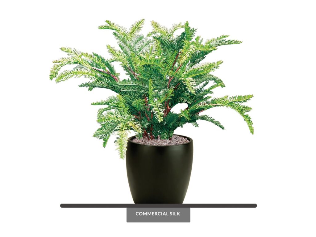 Artificial Sequoia Plant