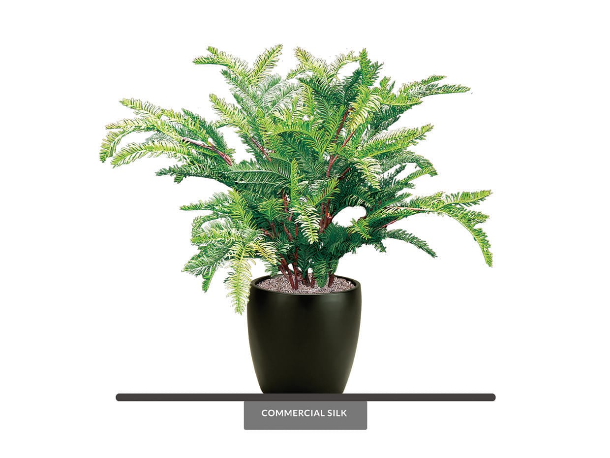 Artificial Outdoor Sequoia Plant