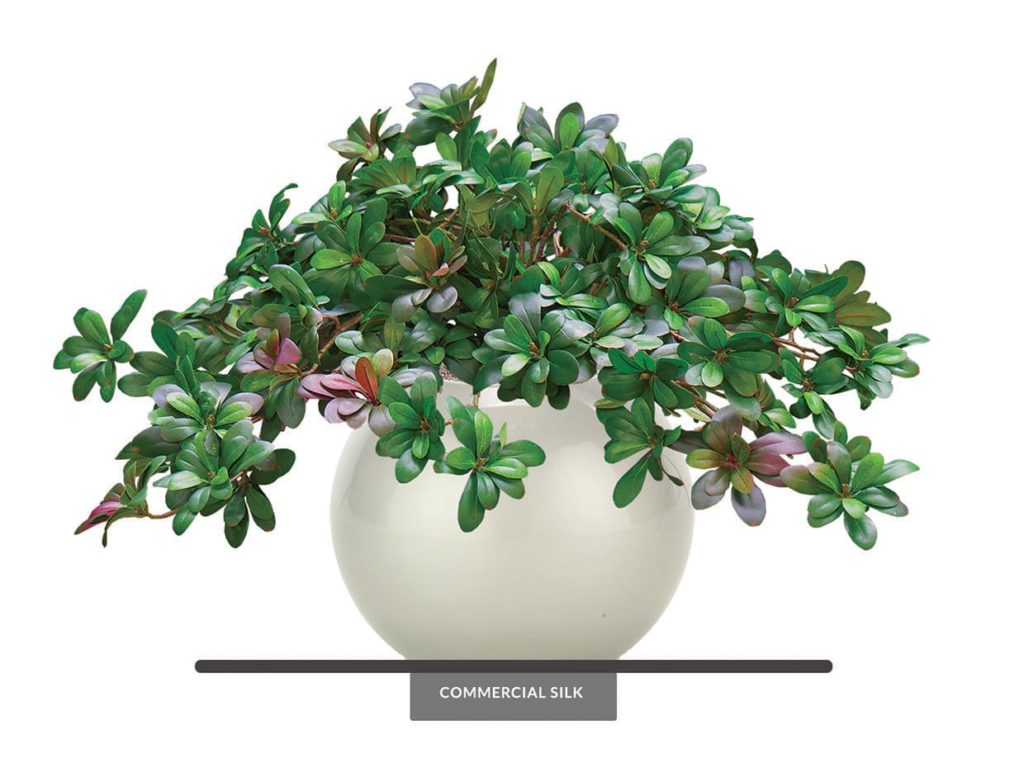 Artificial Australian Laurel Vine