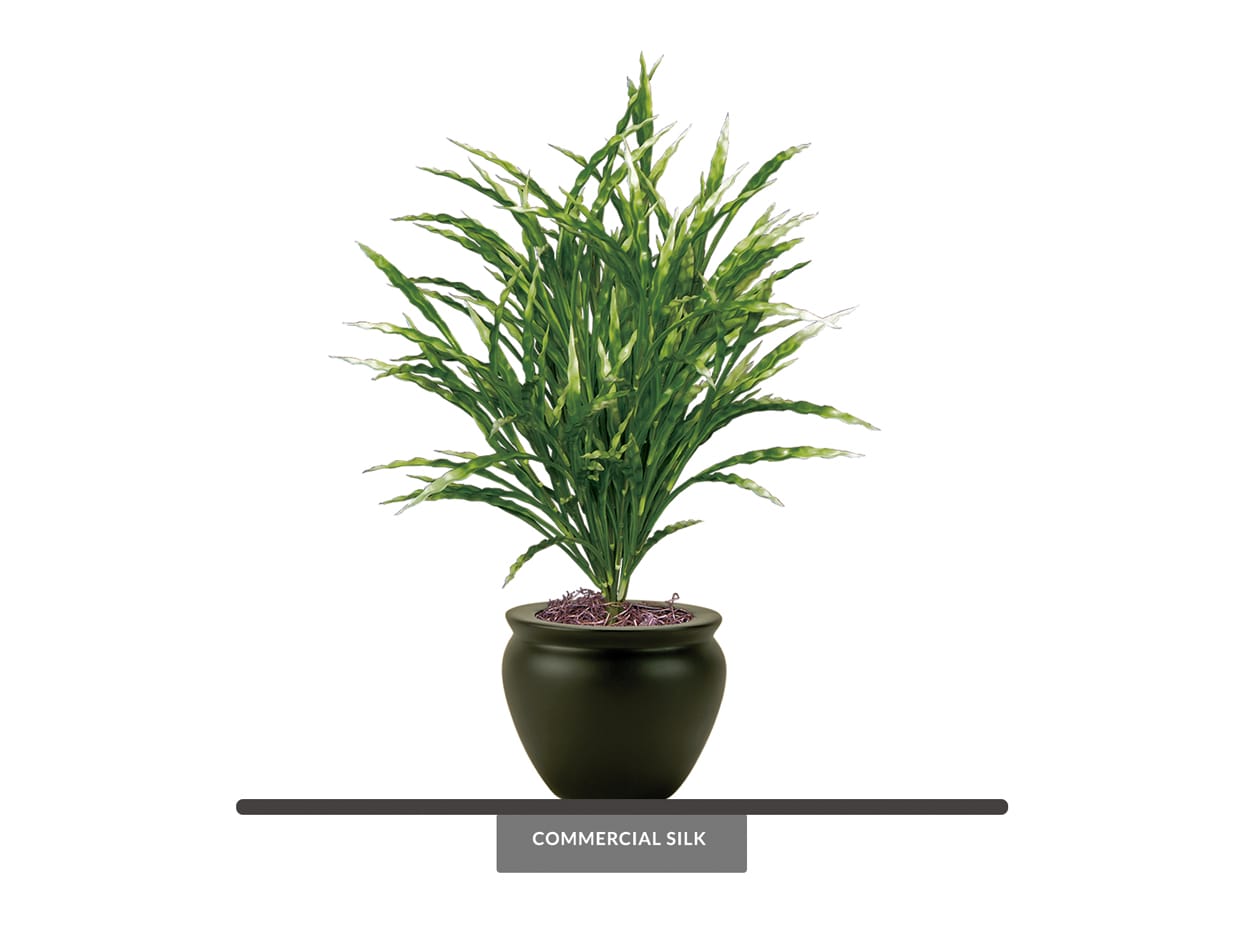 Artificial Potted Ribbon Grass ID# GRB221G+