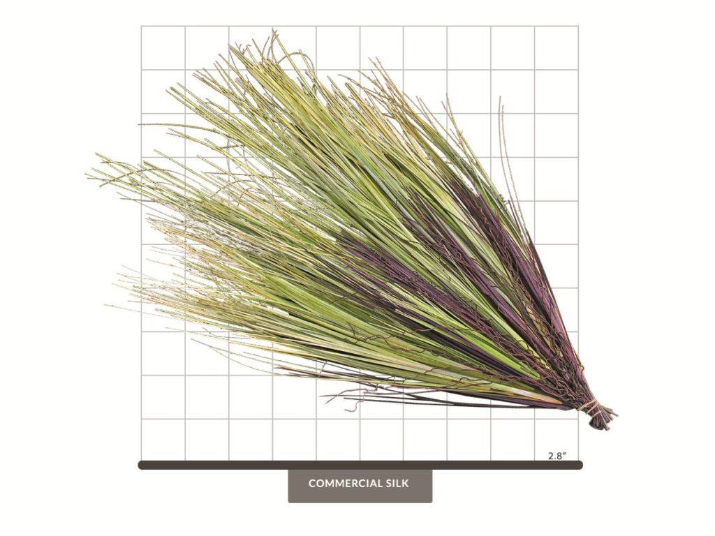 Prairie Grass Bush, Spring Green ID# GPR#24SG
