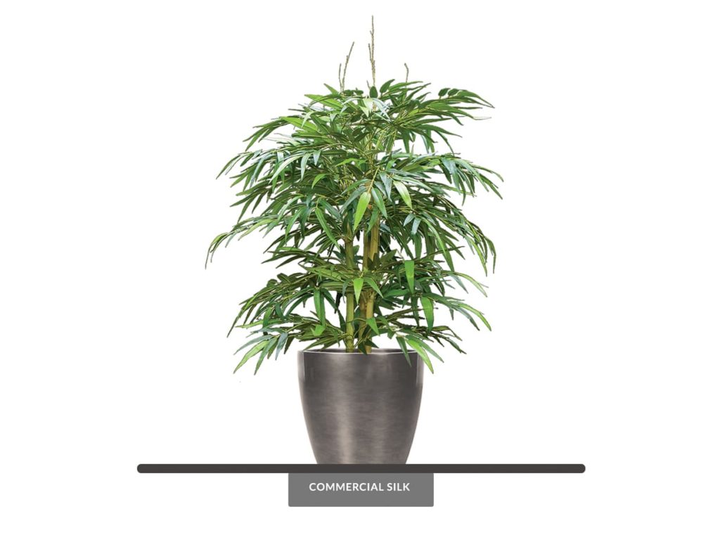 Faux Bamboo Plant