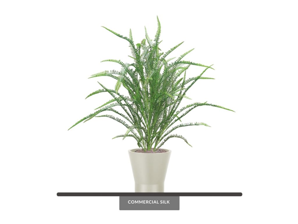 Large Fake Sword Fern Plants Outdoor