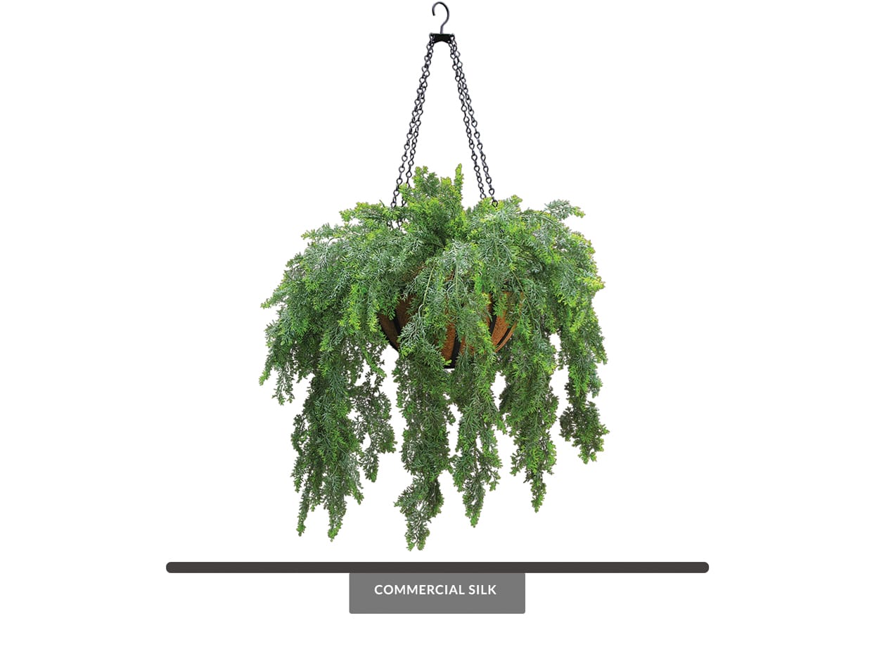 Artificial Asparagus Fern Hanging Basket Outdoor