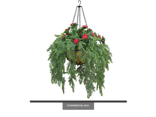 Azalea & Asparagus Fern Commercial Hanging Basket ID# FEAAZA14B+