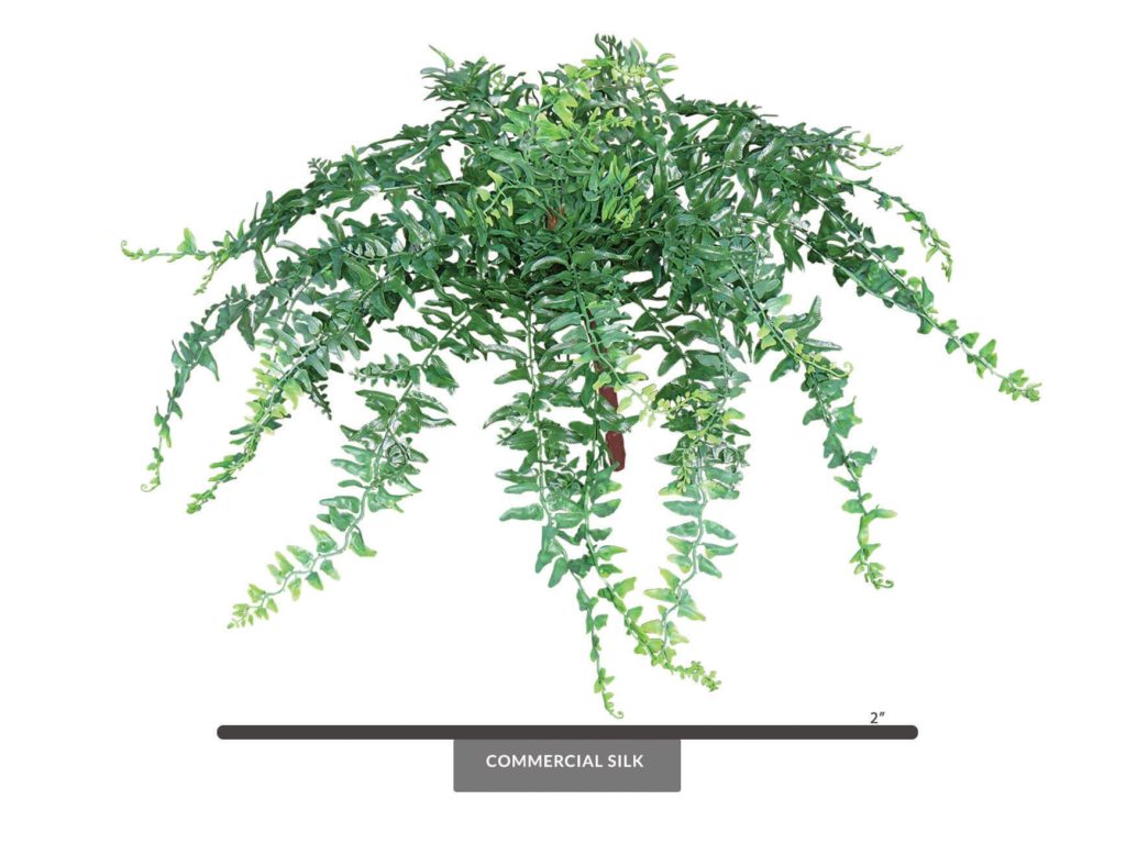Artificial Buckler Fern Foliage Outdoor