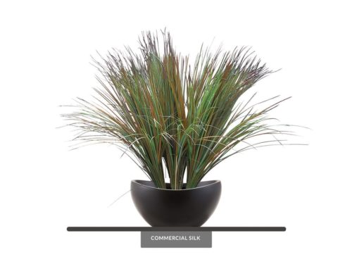 Fake Beach Grass ID# GBE428D